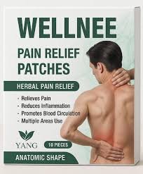 WELLNEE PAIN RELIEF PATCHES