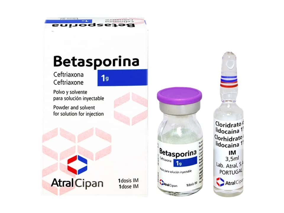 Betasporina