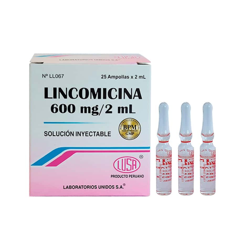 LINCOMICINA 600 MG / 2 ML